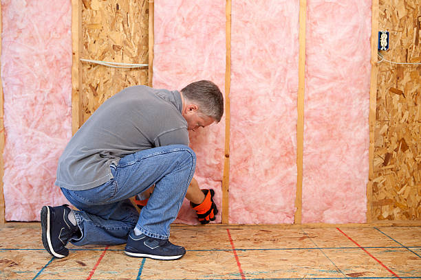 Best Specialized Insulation Services in Fairbury, NE
